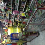 la foto 4 (9)