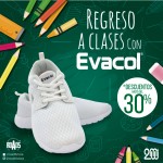 Publicidad-EVACOL-Temporada-escola-(800-px-X-800px)
