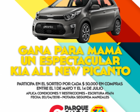 post-carro