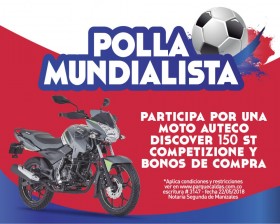 Boton web1