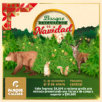 NAVIDAD REDES-01