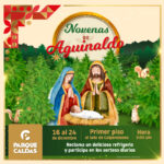 NAVIDAD REDES-02