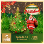 NAVIDAD REDES-03