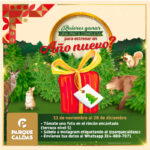 NAVIDAD REDES-04