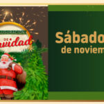 NAVIDAD REDES-15